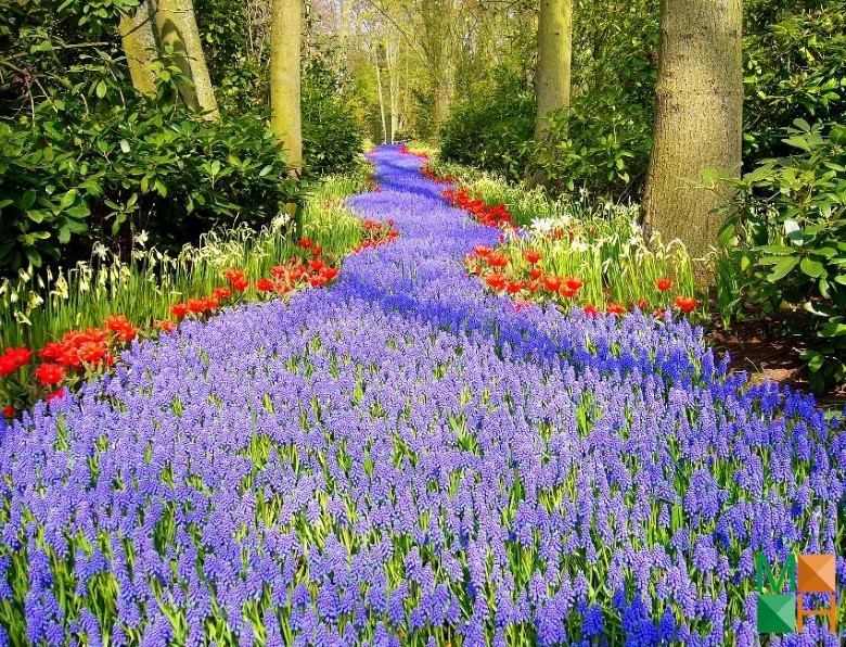 Tranh dán tường Hàn Quốc 3d khổ lớn tại Hà Nội NA - 242